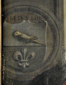 Portret Christopha Baumgartnera (Paumgartner); Detal: herb autorstwa Christoph Amberger  Amberger